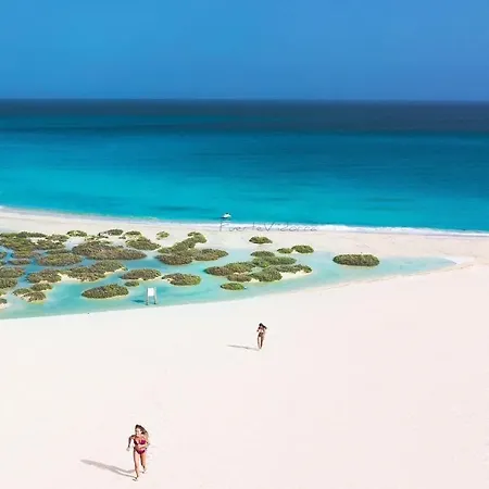 Paris Lovely Daire *