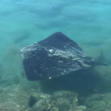 Paris Lovely דירה גראן טאראחל