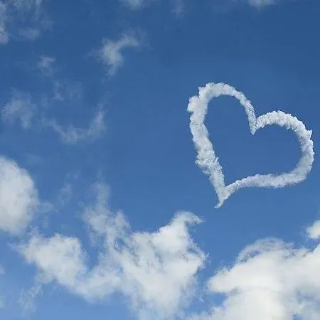 Paris Lovely * Gran Tarajal