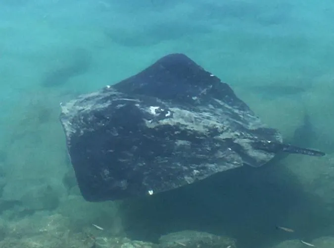 Paris Lovely Apartmán Gran Tarajal