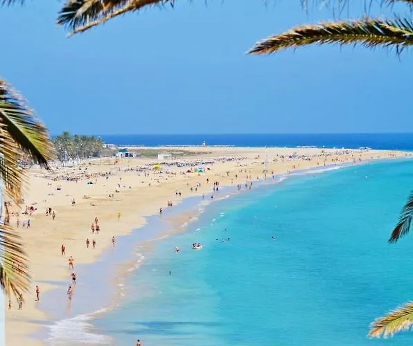 Paris Lovely Gran Tarajal