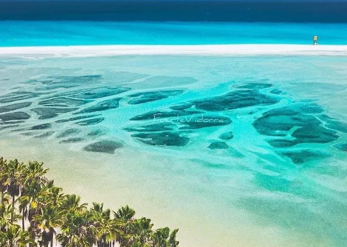 Paris Lovely * Gran Tarajal