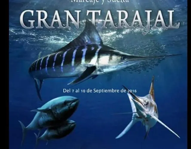 Paris Lovely * Gran Tarajal